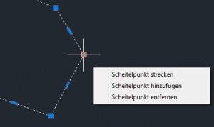 Polylinie direkt bearbeiten